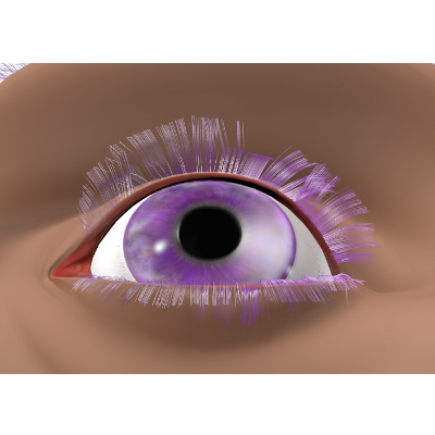 render del ojo